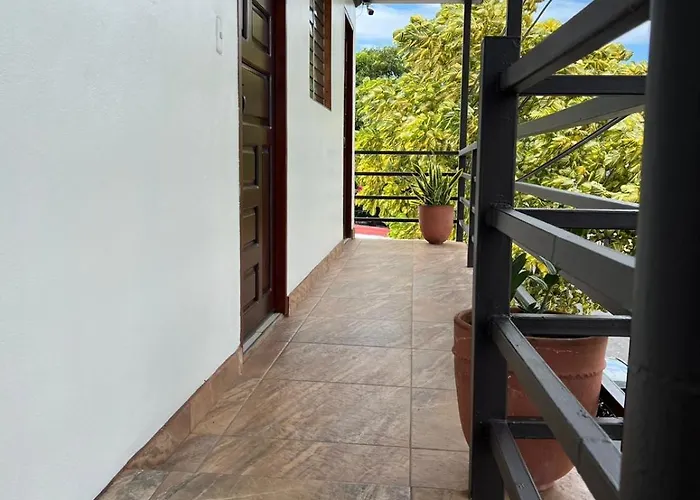 Apartment Open House